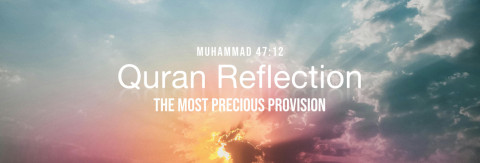 The Most Precious Provision